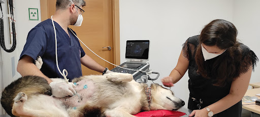 Clínica Veterinaria Albufereta – Alicante