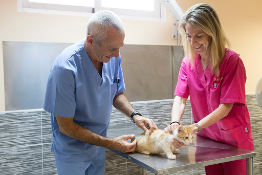 Clínica Veterinaria Alcobendas – Alcobendas