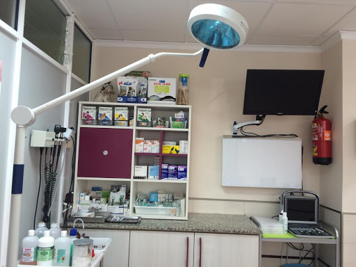 Clínica Veterinaria Alcossebre – Alcossebre