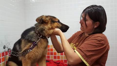 Clínica Veterinaria Almodovar – Almodóvar del Campo