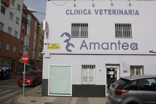 Clínica Veterinaria Amantea – Badajoz