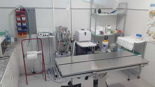 Clínica Veterinaria Ambra – Pego