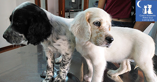 Clínica Veterinaria Amics Sóller – Sóller
