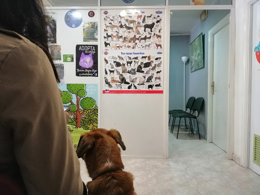 Clínica Veterinaria Amigos – Vigo