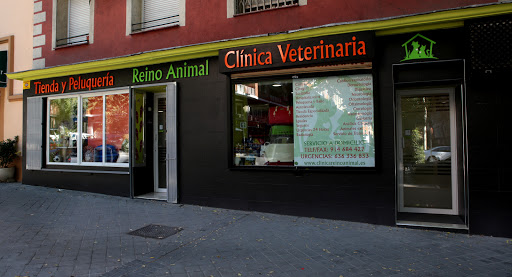 Clínica Veterinaria Animal Kingdom – Madrid