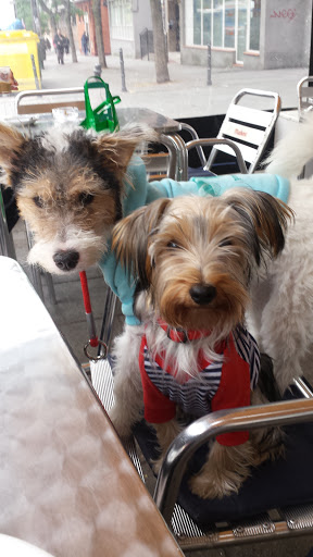 Clínica Veterinaria Animalandia – Madrid