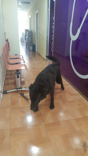 Clínica Veterinaria Animalarium – Torreagüera