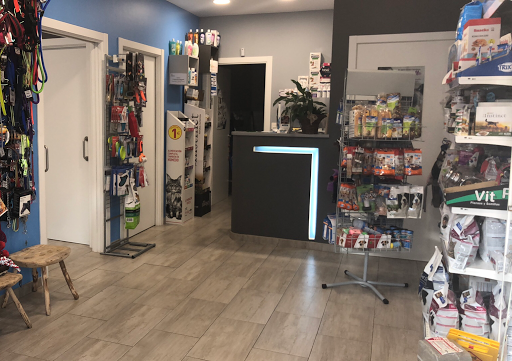 Clínica Veterinaria Animalejos – Villablino