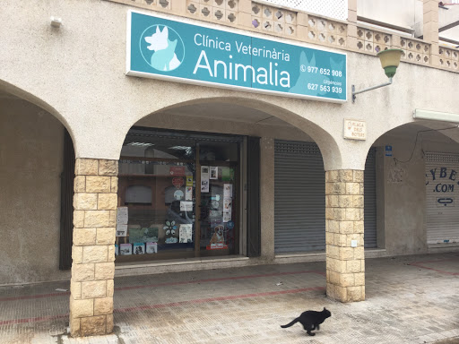 Clínica Veterinaria Animalia Altafulla – Altafulla
