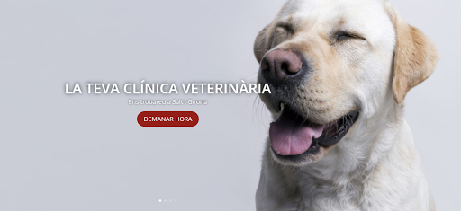 Clínica Veterinaria Animàlia – Salt