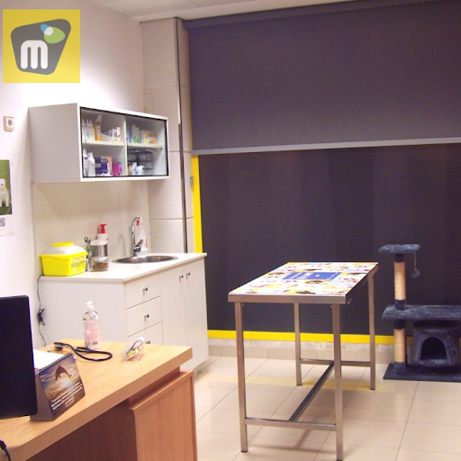 Clínica Veterinaria Animalicos – Villena