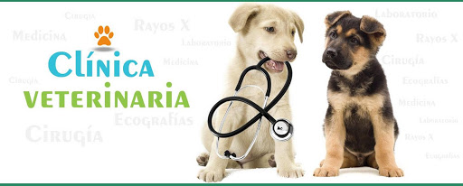 Clínica Veterinaria Año – Valencia