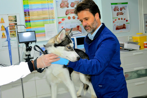 Clínica Veterinaria Antonio Moya – Puebla de la Calzada