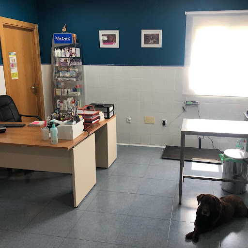 Clínica Veterinaria Aríñez – Aríñez