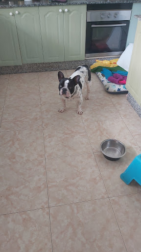 Clínica Veterinaria Arrecife – Arrecife