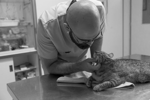 Clínica Veterinaria Astorga – Astorga