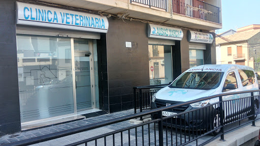 Clínica Veterinaria Ausias March – Valencia