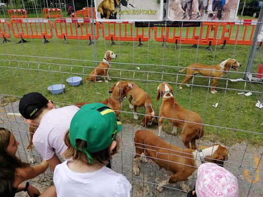 Clínica Veterinaria Autsiki – Amurrio