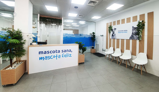 Clínica Veterinaria Ávila San Fernando – San Fernando