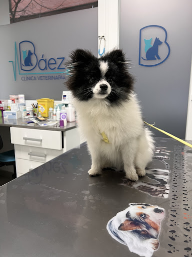 Clínica Veterinaria Báez – Ciudad Rodrigo