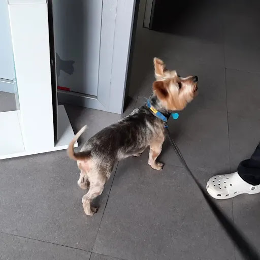Clínica Veterinaria Balmacan – Balmaseda
