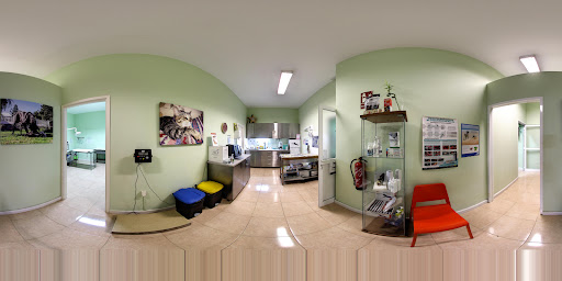 Clínica Veterinaria Baltavet – San Pedro