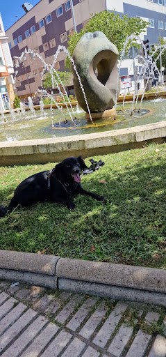 Clínica Veterinaria Barajas – The Gorilla Vets Company (Anterior Servivet) – Madrid