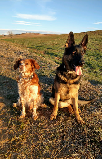 Clínica Veterinaria Barajas – Madrid