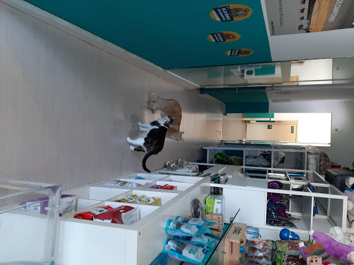 Clínica Veterinaria Bau-bau – Barakaldo