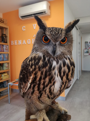 Clínica Veterinaria Benagéber – San Antonio de Benagéber