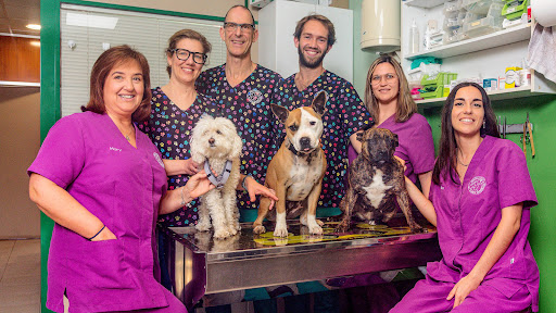 Clínica Veterinaria Bendinat – Calvià