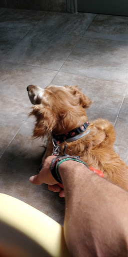 Clínica Veterinaria Benicalap – Valencia