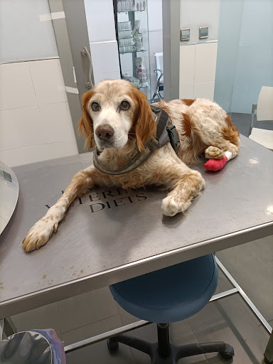 Clínica Veterinaria Benimámet – Valencia