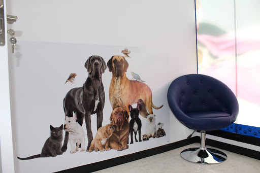 Clínica Veterinaria Betavet – Las Cabezas de San Juan