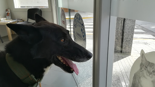 Clínica Veterinaria Bétera – Bétera