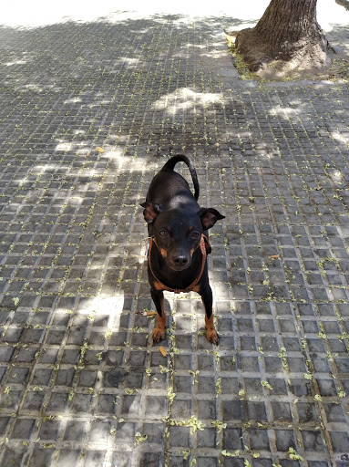 Clínica Veterinaria Beturia – Cartaya