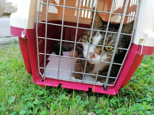 Clínica Veterinaria Bezana – Santa Cruz de Bezana