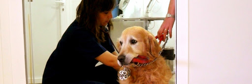 Clínica Veterinaria Bilyana – Villena