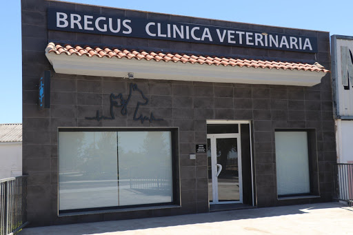 Clínica Veterinaria Bregus – Villanueva de la Serena