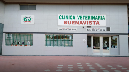 Clínica Veterinaria Buenavista – Zaragoza