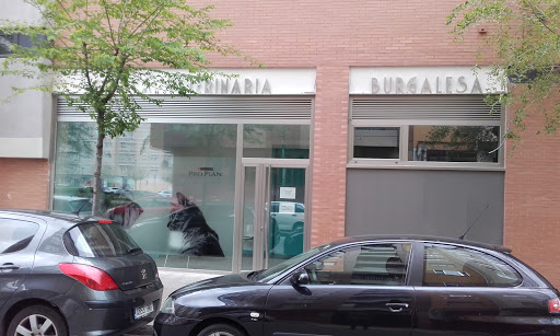 Clínica Veterinaria Burgalesa – Burgos