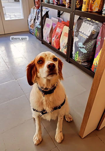 Clínica Veterinaria Cadaqués – Cadaqués