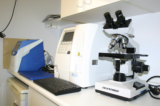 Clínica Veterinaria Calàbria – Barcelona