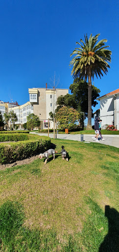 Clínica Veterinaria Cambre – Cambre