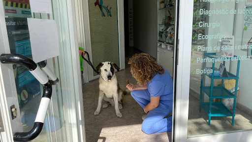 Clínica Veterinaria Can Pilé – Santa Eulàlia de Ronçana