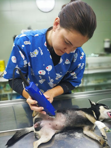 Clínica Veterinaria Capdevila Slp – Martorell