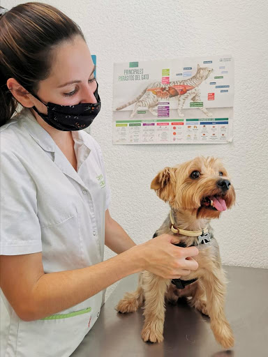 Clínica Veterinaria Capdevila – Pallejà