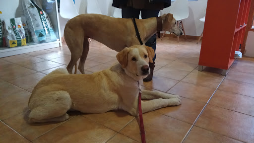 Clínica Veterinaria Carea – Miguelturra