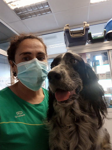 Clínica Veterinaria Carmen Calzada – Cabezón de la Sal