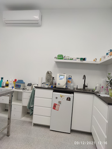 Clínica Veterinaria C`as Capità – Pla de Na Tesa